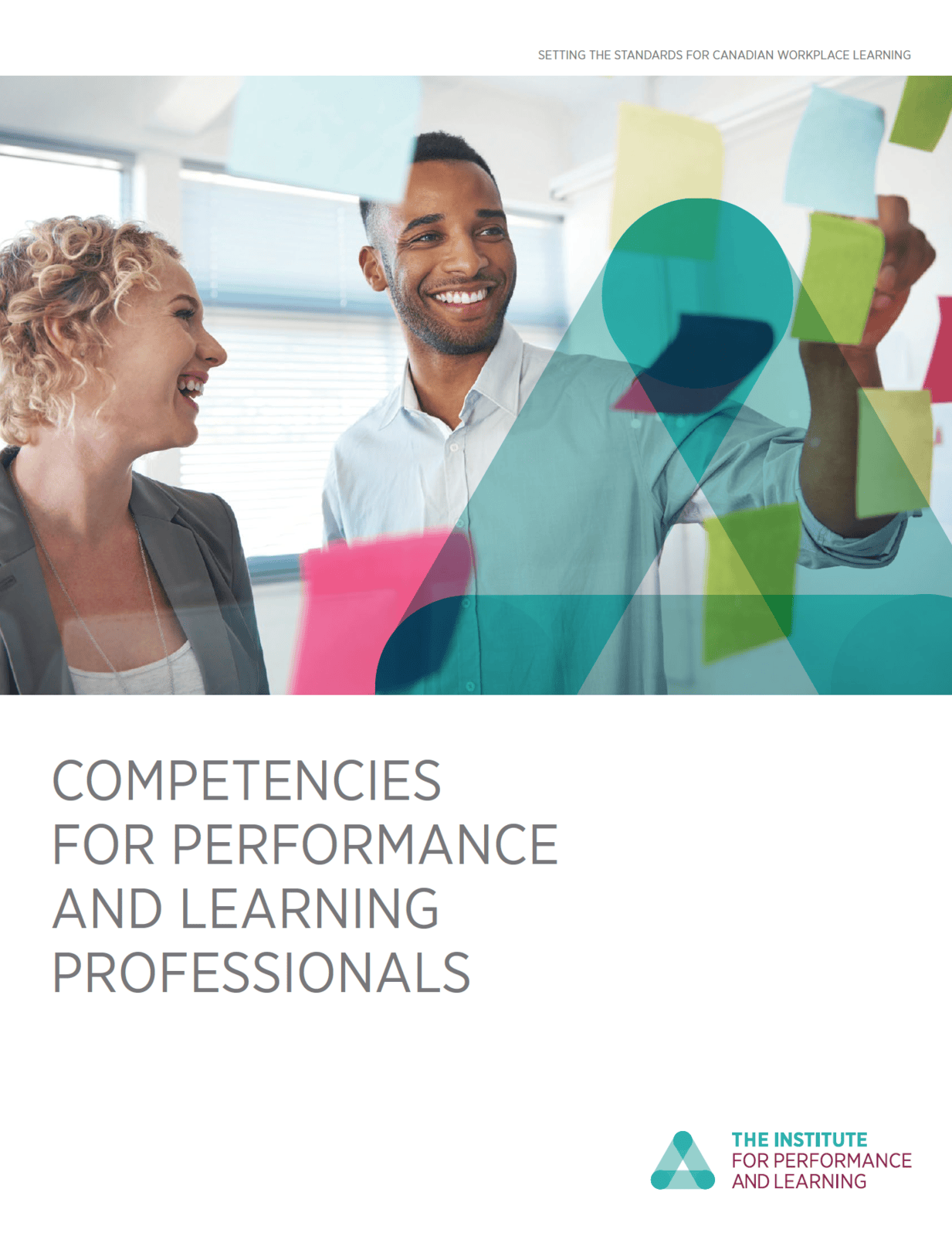 Competencies for Performance and Learning Professionals